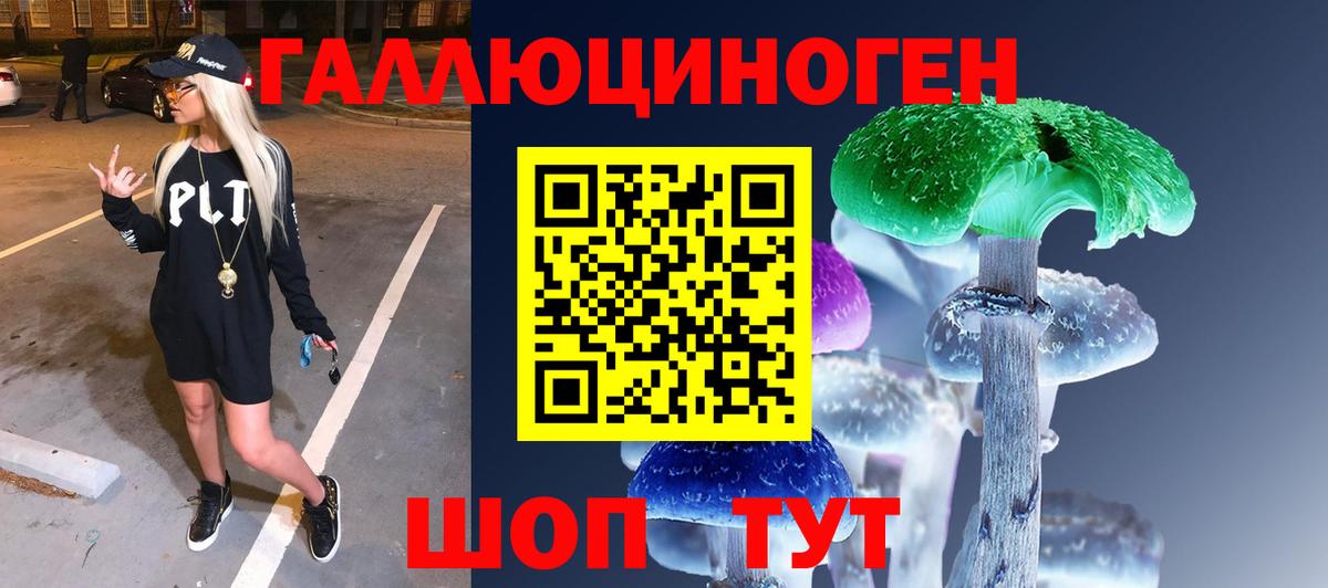 Псилоцибиновые грибы Psilocybe  Вход с VPN  Осинники  Псилоцибиновые грибы ЛСД 